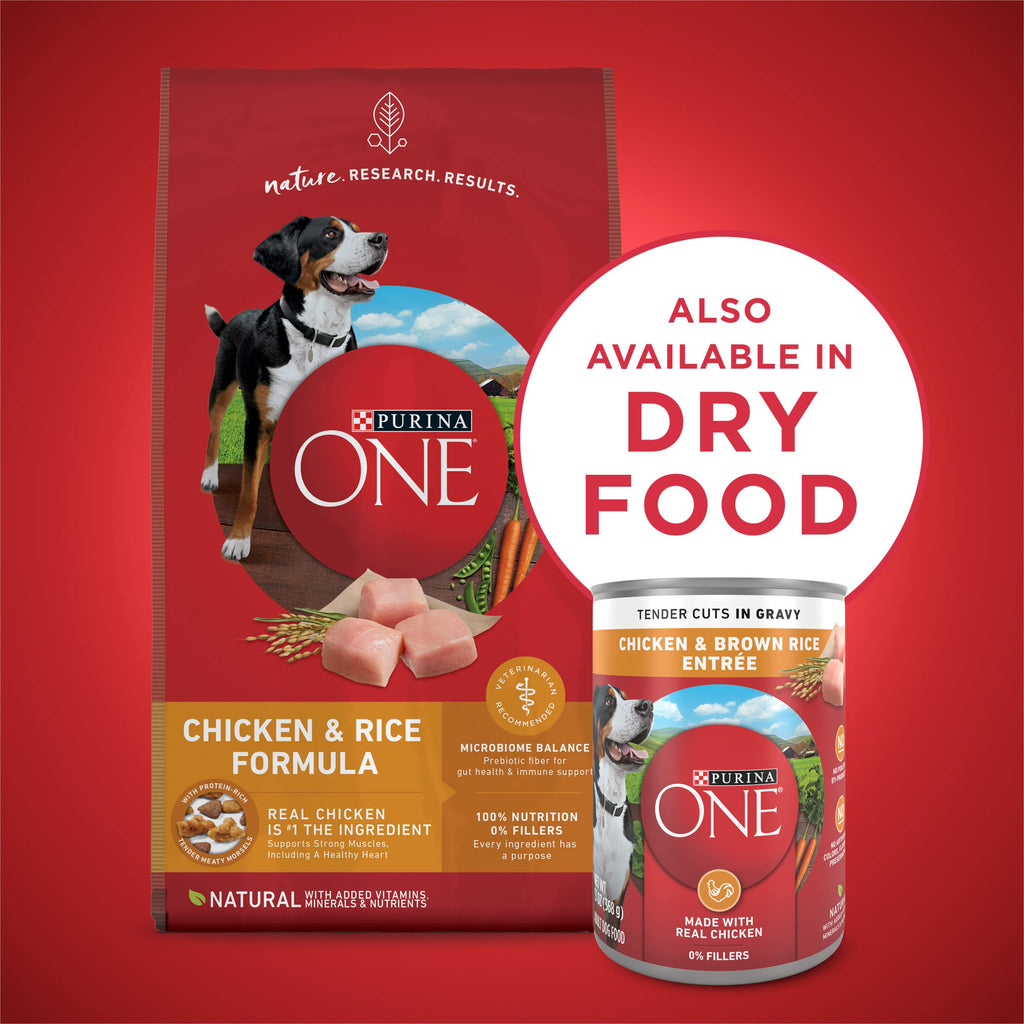 Purina ONE Chicken & Brown Rice Wet Dog Food, Tender Cuts, (12) 13 oz Cans