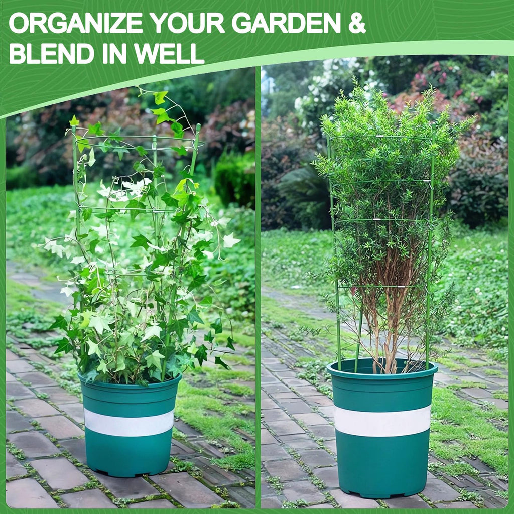 KLS 3 Pack Tomato Cage for Pots Plant Support, Upgrade 24 Inches Tomato Cages for Garden, Pepper Cage Trellis Kit with Plant Tie and Clips (24")