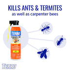 TERRO Ready to Use Indoor and Outdoor Carpenter Ant, Termite, and Carpenter Bee Killer Aerosol Spray - T1901SR - 2 Pack, 32 Total Ounces