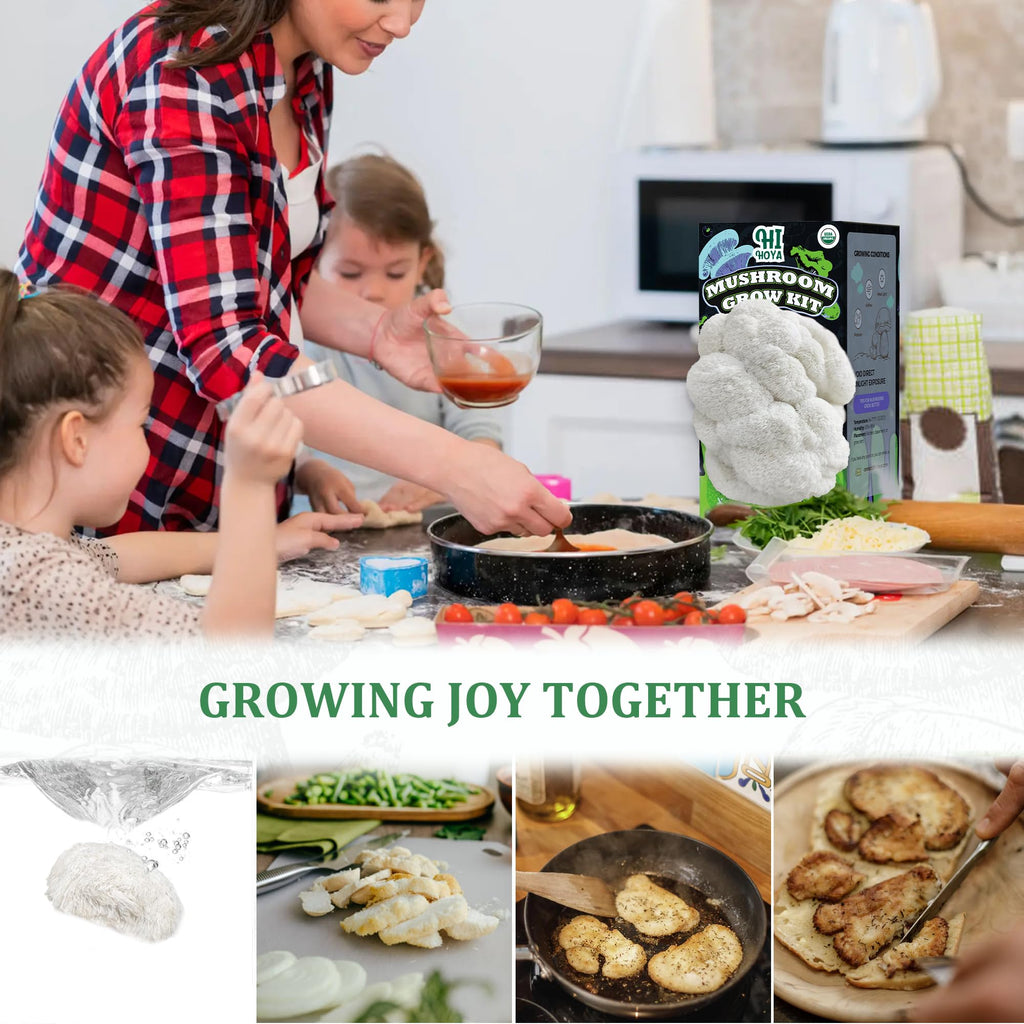 Organic Mushroom Growing Kit, Lion's Mane Mushroom Grow Kit with All Accessories, Grow Fresh Edible Mushrooms Indoor, USDA Certified Organic, Non-GMO, Easy to Grow at Home