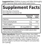 Garden of Life Kids Organic Vitamin D3 Gummies with 800 IU (100% Daily Value) for Strong Bones,Teeth,Brain & Immunity – Non-GMO,No Gluten,Vegetarian,Sugar Free,Orange Flavor,60 Count(Pack of 2)