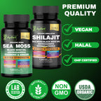 AyBet Sea Moss & Himalayan Shilajit Supplement Combo–Herbal Formula with Black Seed Oil, Ashwagandha, Rhodiola, Turmeric, Ginger – Mineral, Antioxidant Support–Organic, Halal, Vegan Capsules–240 Count