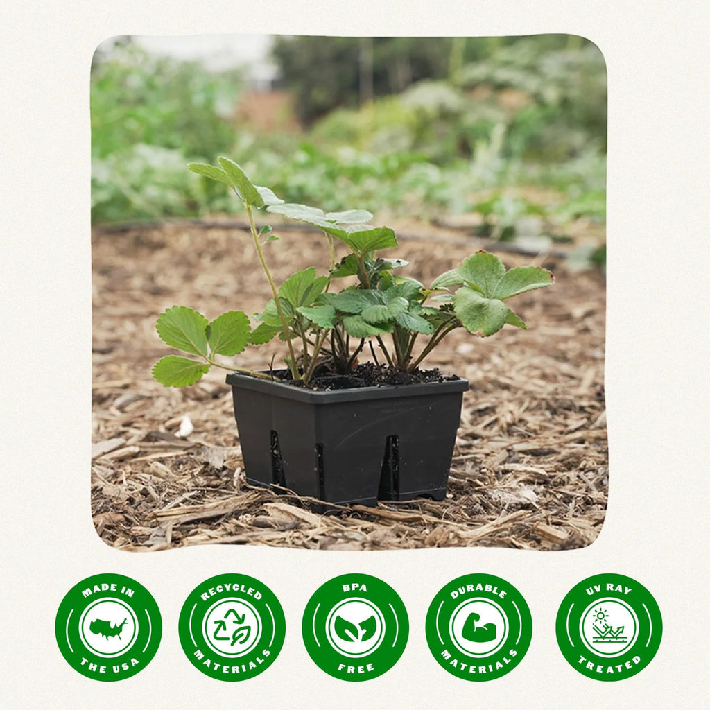 Epic Reusable Seed Starter Tray - Easy Watering Seed Starting Trays - Gardener Friendly Plant Trays for Seedlings | UV-Treated BPA-Free Seedling Tray -4-Cell 4" Seed Starting Trays - Black /4 Trays