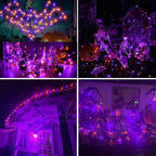 Joomer Orange Purple Halloween Solar String Lights,2 Pack Total 80FT 240LED