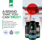 Daiwa GastroImmune - Gut Health and Immunity Supplement - Non-GMO, Protein-Based Formula for Digestive Wellness – 60 Capsules