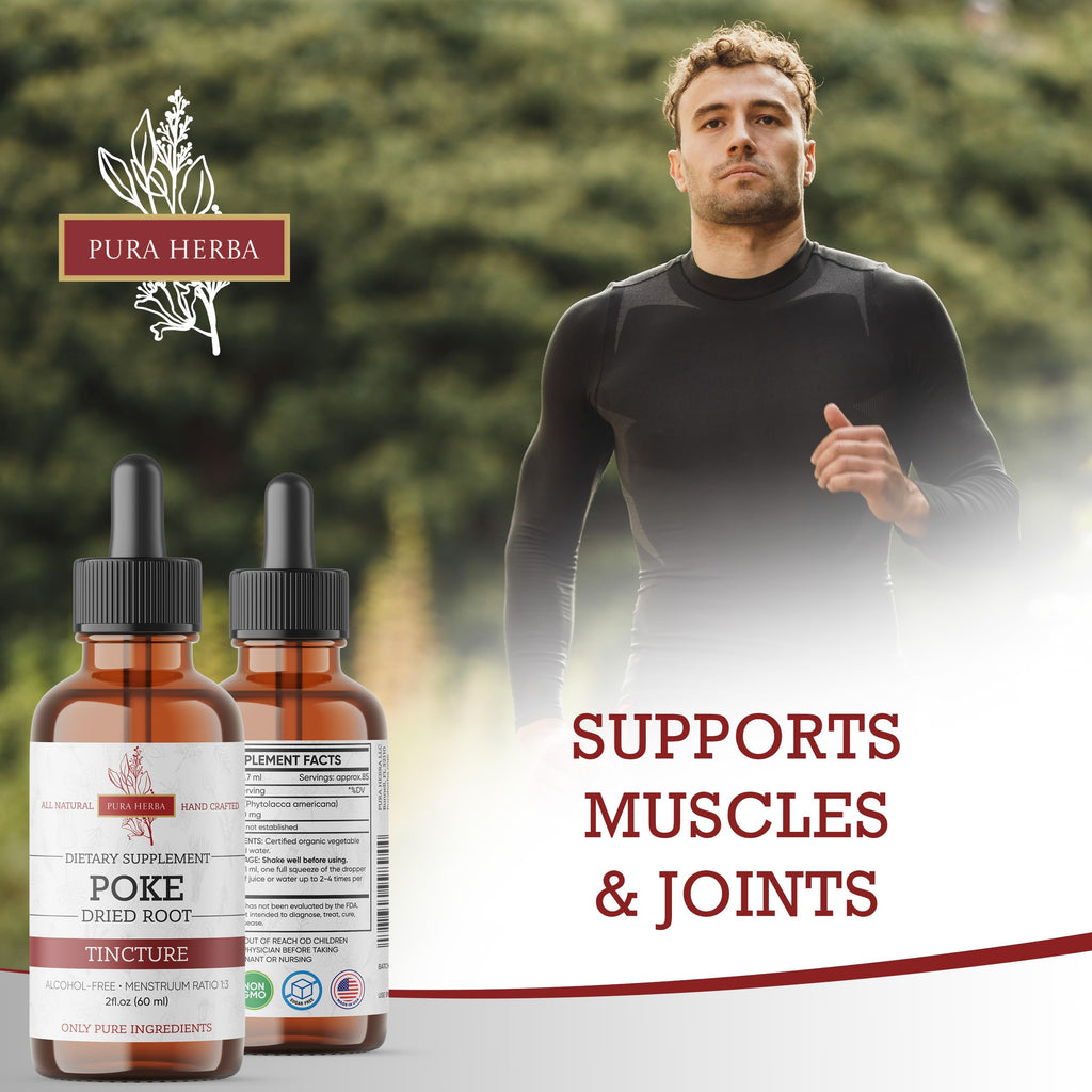 Pura Herba Organic Poke Root Tincture | Poke Root Extract Liquid | Herbal Supplement for Immune Support & Lymphatic Health | Vegan | Alcohol-Free | Non-GMO | Made in USA | 2 Fl Oz