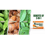 Pack of 4 Ampalaya Plus Supplement 550mg - Total 120 Capsules - Natural and Vegan - Organic Bitter Melon Capsules - Halal Herbal Food Supplement