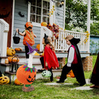 Halloween Porch Goose Outfit Pumpkin Goose Costume for Outdoor Decor