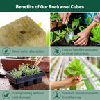 Jowlawn 1" Rockwool Cubes for Hydroponics 200 Plugs with 50 Pack 1.5 inch Net Pots Hydroponics Supplies Cups for Rooting, Clone Plants, Starting Seeds, Ideal Rockwool for Hydroponic Growing