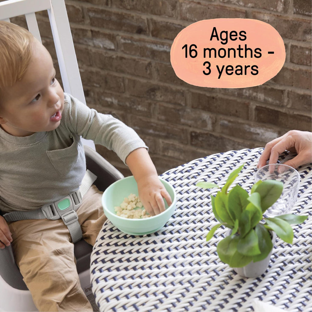 Ingenuity SmartClean Toddler Booster Seat for Kitchen Chair – Lightweight for on-the-go, Easy-Clean, 3-Point Harness Strap – Booster Seat for Dining Table, Slate