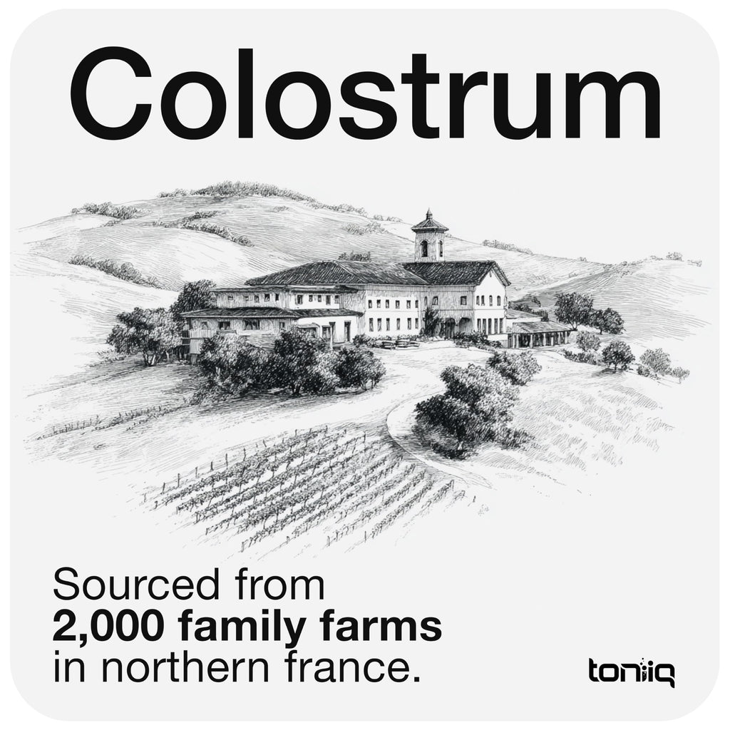 Toniiq Bovine Colostrum Powder Supplement 2000mg - 50% IgG for Gut Health, Immune Support & Skin - French Colostrum Farm-to-Jar Traceable, Microfiltered, Third-Party Tested - 90 Servings