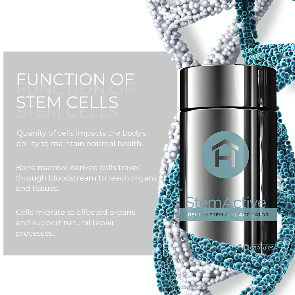 HEALTHY home StemActive Stem Cell Support Supplement - 60 Capsules - Boost Circulating Stem Cells - Premium Stem Cell Activator - Madagascan Aloe Macrolada - Blue-Green Algae