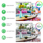 MAXvolador A19 LED Light Bulbs, 100 Watt Equivalent LED Bulb, 1100 Lumens Soft White 3000K E26 Medium Base, Non-Dimmable 11W LED Bulb 12-Pack