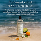 The Laundress Activewear Laundry Detergent, 32 Oz, Marine Fragrance, 4-in-1 Enzyme Blend for Workout Performance Fabrics, Fights Sweat Odors & Stains, USDA Certified Biobased Product (90%) (Pack of 2)