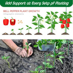 70Sets Garden Stakes Set 255pcs with 14 Inch Plant Sticks and Stake Arms, DIY 4ft 5ft 6ft 7ft 8ft Tomato Stakes, Garden Stakes for Vegetables Tomato Pepper Indoor Outdoor Plants