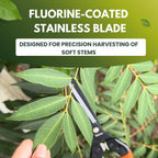 Saboten Japanese Pruning Shears 7.9" – Professional Bypass Garden Clippers, Made in Japan, Sharp Carbon Steel Blade with Sap-Resistant Fluorine Coating, Cuts up to 3/4 in (20 mm) (Straight)