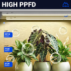 Barrina T5 Grow Light, 5W 1ft Plant Lamp for Indoor Plants, Yellow, 8 Packs