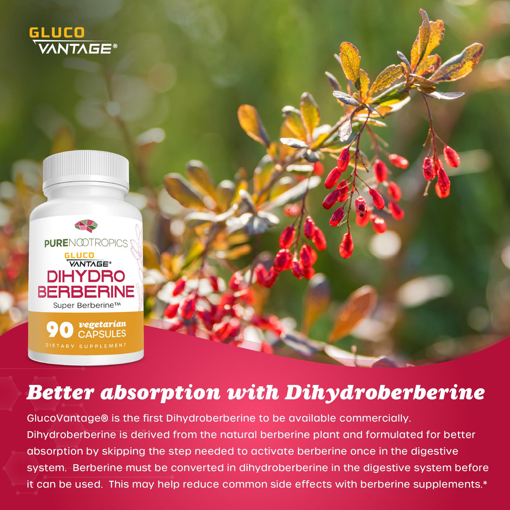 Pure Nootropics - Dihydroberberine Supplement (GlucoVantage) 100 mg, 90 Capsules | Super Berberine