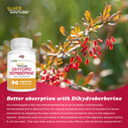 Pure Nootropics - Dihydroberberine Supplement (GlucoVantage) 100 mg, 90 Capsules | Super Berberine