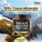 Pure Shilajit Gummies, Sea Moss, Ashwagandha, 105+ Trace Minerals – Organic Burdock Root & Lions Mane Mushroom – Watermelon Flavor - Vegan & Non-GMO – Made in USA – 60ct