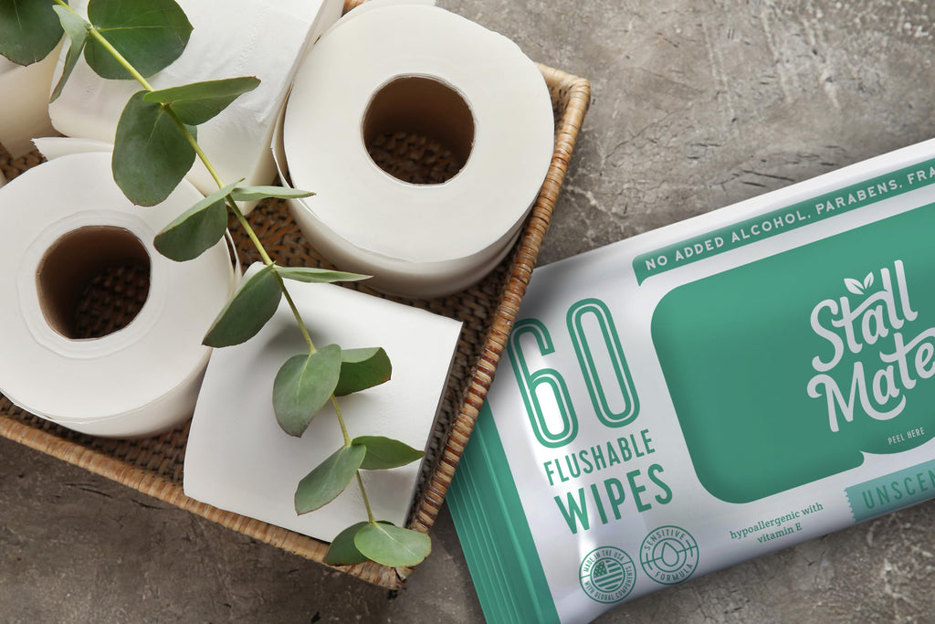 Stall Mates Wipes: Flushable Wipes, 60-Wipe Home Pack, Hypoallergenic, Unscented with Vitamin-E & Aloe, (4 Pack - 240 Total)
