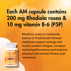 AM PM Multivitamin - Cortisol Supplements for Women and Men with L-Theanine, Ashwagandha - Rhodiola Rosea Supplement 200mg - Vitamin B Complex - Nootropics - Day and Night Vitamins for Women & Men