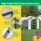 Miracle-Gro 6' x 6' x 6' Outdoor Mini Walk-in Greenhouse Plant Tent, All-Season Small Walk-in Plant Growth Accelerator with UV-Treated Fabric Cover and Zippered Panels, Clear