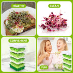 Sprouting Trays - 4-Tier Seed Sprouter with Drain Spout
