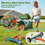Wheeled Dethatching Rake for Lawn - 15" Heavy Duty Stainless Steel