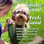 Bug Soother Natural Insect Repellent Spray, DEET-Free 8 oz. (2 Count)
