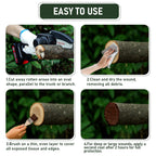 Tree Wound Sealer & Dressing, 500g Tree Pruning Sealer for Cut, Damaged Bark, Grafting – Effective Tree Repair Sealant for Shrub, Bonsai, Rose, Orchard | Horticulture Grade Seal Formula