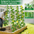 63"/5FT Heavy Duty Cucumber Trellis for Raised Beds, 16mm Metal Garden Trellis with Netting & Clips, Tall Vegetable Trellis for Tomatoes, Beans, Peas & Climbing Plants