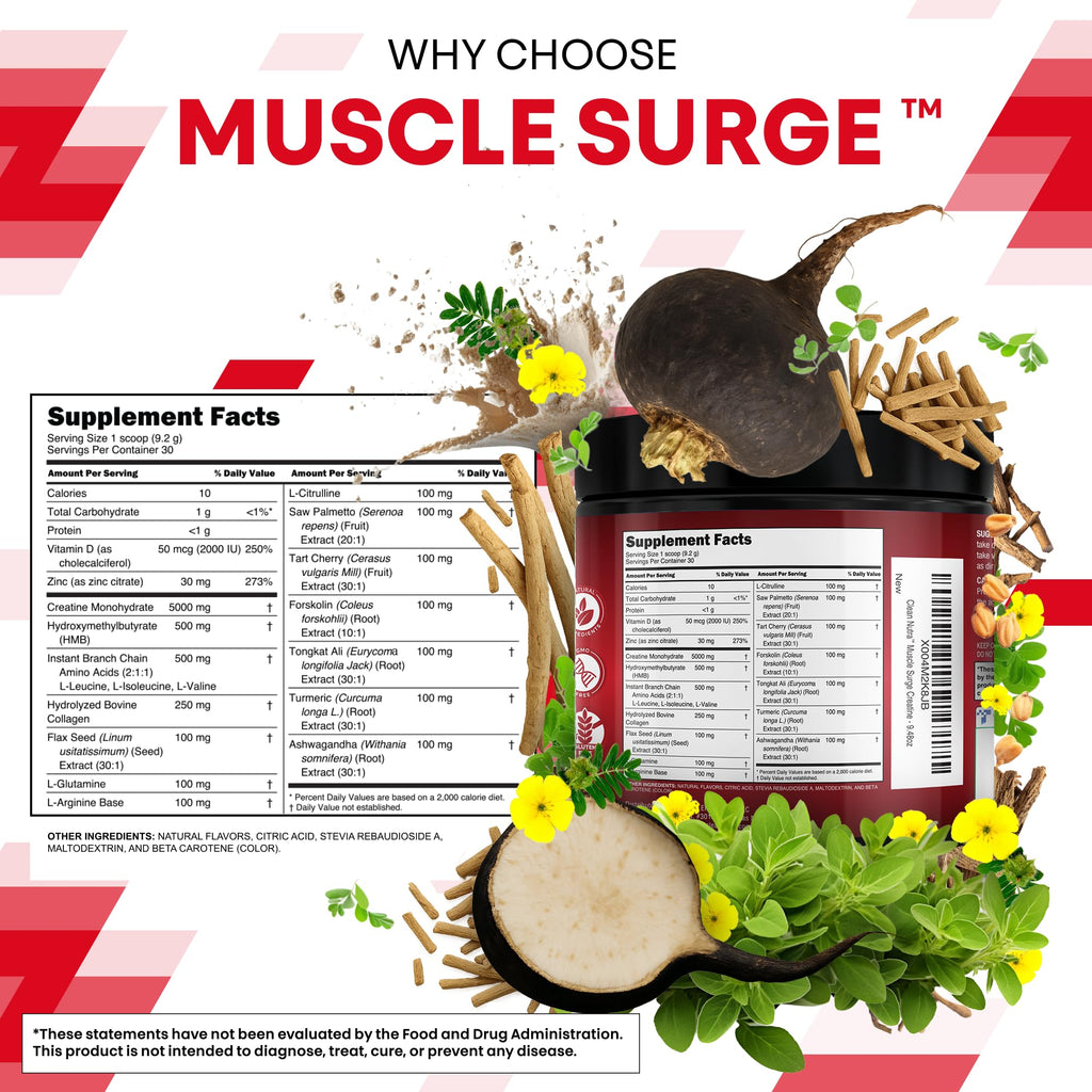 Clean Nutra Creatine Powder for Men + HMB BCAA L Arginine L Citrulline Tongkat Ali Saw Palmetto Ashwagandha Collagen Flax Seed Turmeric Preworkout Stevia Nitric Oxide L Glutamine Amino Acids