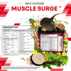 Clean Nutra Creatine Powder for Men + HMB BCAA L Arginine L Citrulline Tongkat Ali Saw Palmetto Ashwagandha Collagen Flax Seed Turmeric Preworkout Stevia Nitric Oxide L Glutamine Amino Acids