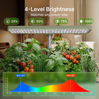 SUNCOZE Hydroponics Growing System, Compact 12 Pods Indoor Garden, Green
