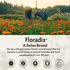 Floradix Floravital Liquid Iron & Vitamin Formula - Liquid Iron Supplement with C & B Vitamins & Herbs for Energy Support - Vegan, Gluten-Free, Yeast-Free & Non-GMO - 8.5 Fl Oz
