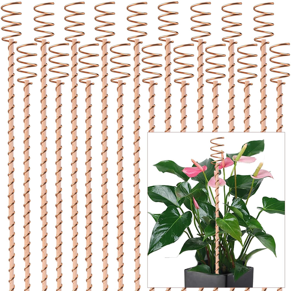 18Pack Electroculture Plant Stakes, 12" Electroculture Copper Gardening Antenna, Copper Coil Plant Stakes for Garden,Garden Stakes for Plants Fruits Vegetables Growth,Eco-Friendly,High-Yield