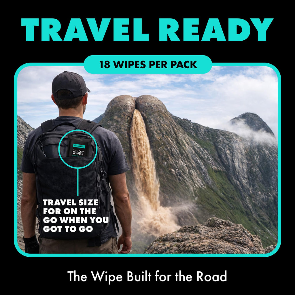 DUDE Wipes Mint Chill Travel Wipes - 6 Packs of 18 (108 Count) - Extra-Large Adult Flushable Wipes - Infused with Tea Tree Oil, Vitamin E, and Aloe - Septic and Sewer Safe