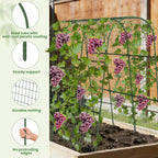 Cucumber Trellis, Metal Garden Arch Trellis for Raised Bed, 48 x 48inch U-Shape Garden Trellis for Climbing Plants Outdoor, Vegetables Fruit Plant Support with Netting, Gardening Supplies (Green)