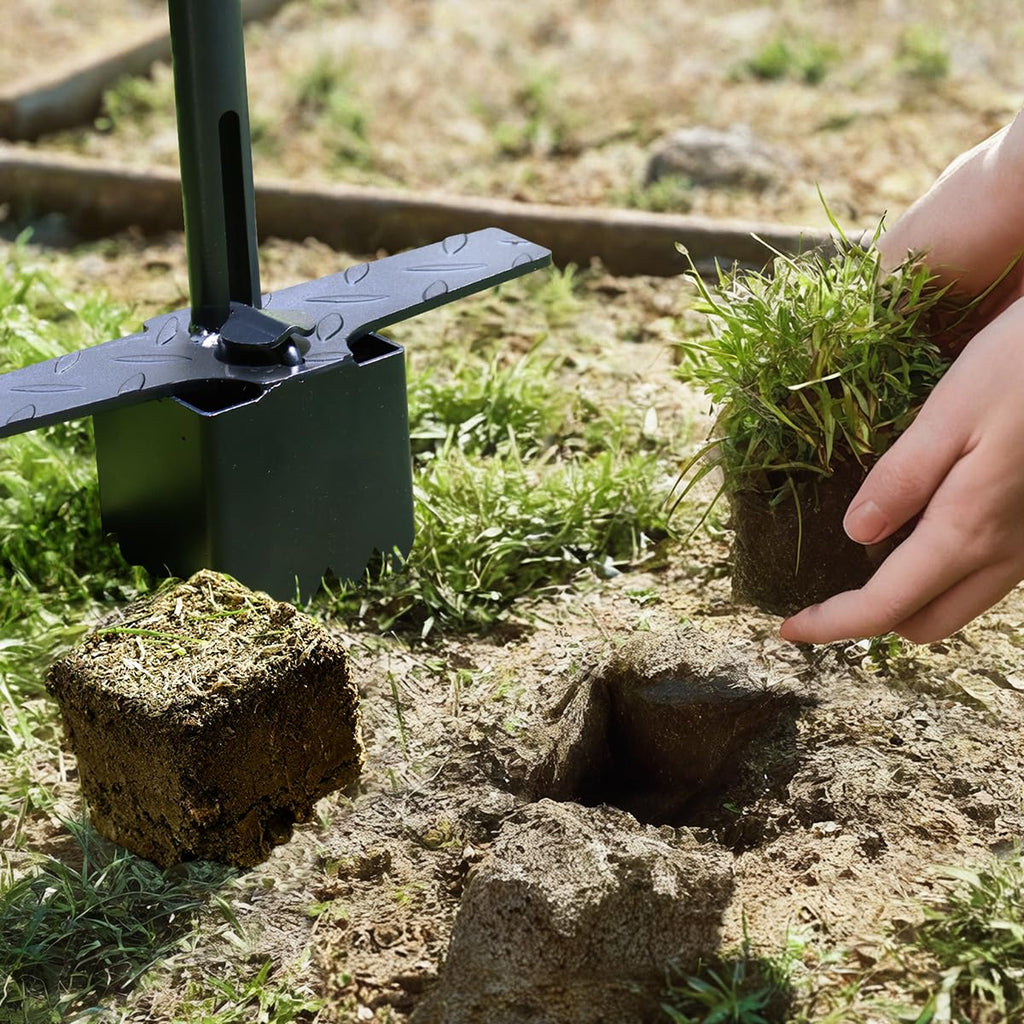 Colwelt Sod Plugger Tool 36-INCH, Grass Plug Tool 3 x 3 Square with Serrated Base, Bulb Planter Tool Long Handle with Dual Pedals & Easy Foot Ejector, Sod Turf Cutter for Lawn Planting Grass Repair