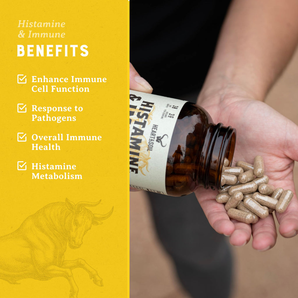 HEART & SOIL – 100% Grass Fed & Finished Histamine & Immune Support Supplement from Regenerative Cattle with Thymus, Lung, Spleen, Liver, & Kidney – Immune Defense – Glass Bottle – 180 Capsules