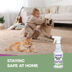 VermExon Peppermint Oil Insect & Pest Control Spray – 16oz Natural Plant-Based Bug Killer for Spiders, Ants, Flies, and Other Insects, Safe for Home & Kitchen Use