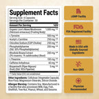 BREADWINNER Supplement - Dopamine & Acetylcholine Support - Citicoline, L Tyrosine, ALCAR, Lions Mane, L Theanine for Focus & Motivation - Cortisol Reducer with Rhodiola Rosea & Phosphatidylserine