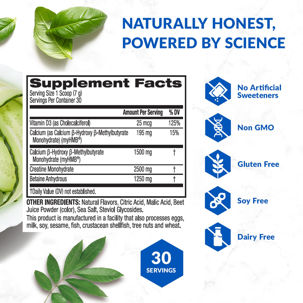 BioTrust Ageless Muscle Builder - Creatine HMB Powder with Vitamin D3 & Betaine - Build & Preserve Naturally Declining Muscle Mass & Strength - Fruit Punch, 60 Servings
