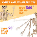 JOYIN 5 FT Halloween Skeleton Life Size, Stayable Posable Skeleton Decor, Full Body Movable Joints Giant Skeletons for Halloween Decoration Outdoor, Haunted House Prop, Spooky Scary Graveyard Party