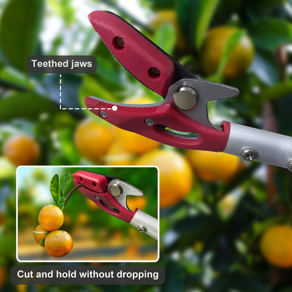 Prunrt Tree Trimmer, 4 Foot Pole Pruner, Long Reach Pruning Shears, Cut and Hold Garden Clippers, Aluminum Lightweight Handle Fruit Picker, Branch Bypass Loppers