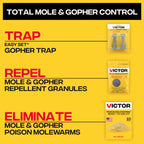 Victor Poison Moleworms - M6009 - 10 Worms, 5 Tunnel Locator Flags - Kills Moles Outdoors