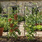 Thealyn 4 Pack 48" x 12.5" Metal Trellis for Potted Plants and Planters