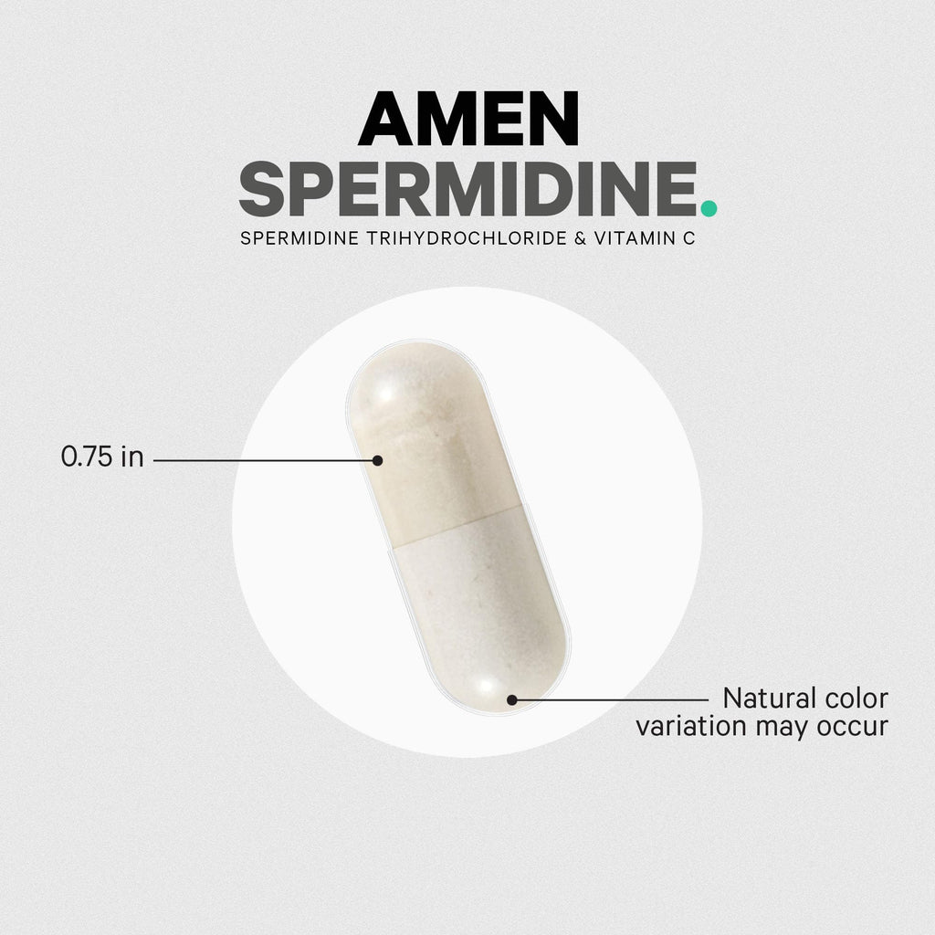 Amen Spermidine, Trihydrochloride, Vitamin C, Vegan, 30 Capsules