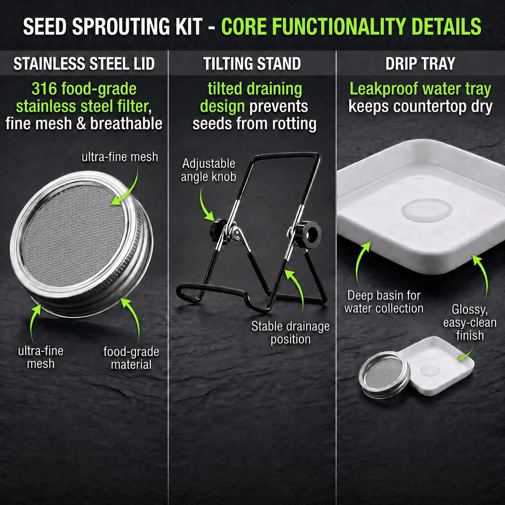4 Large 1000ML Wide Mouth Mason Jar Sprouting Kit, with Stainless Steel Stand, Drain Tray & Cleaning Brush, High Germination for Beans, Broccoli, Fresh Sprouts